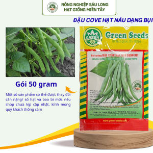 Đậu Cove hạt nâu dạng bụi Siêu sai trái GREEN SEEDS – Gói 50GR