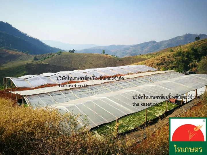 สุดยอดพลาสติกคลุมโรงเรือน 2025: เลือกแบบไหนให้เหมาะกับสวนของคุณ