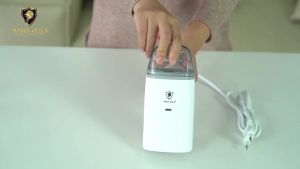 KAISAVILLA Powerful Handheld Steamer Iron For Clothes Mini Flat Iron Garment Steamer Electric Portab