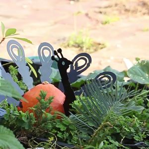 Set of 8 Thanksgiving Pumpkin Turkey Making Kits Autumn Harvest Turkey Parts Poke in Pumpkin Autumn Home Decorations