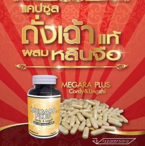 ถั่งเช่า 60 แคปซูล 3 กระปุก - ถั่งเฉ้า ถั่งเช่าเมการ่าพลัส ถั่งเช่าสีทอง ถั่งเช่าสกัด ถั่งเช่าผสมเห็ดหลินจือ 60 แคปซูล