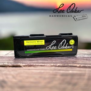 Harmonica Lee Oskar Harmonic Minor 1910H - EASTERN EUROPEAN GYPSY YIDDISH ASIAN TANGO REGGAE