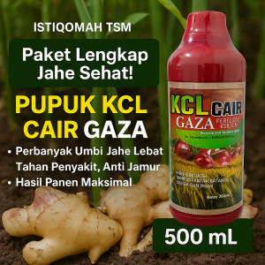 Pupuk KCL Cair GAZA 500ML – Perbanyak Umbi Jahe Lebat Tahan Penyakit Anti Jamur & Busuk Hasil Panen Maksimal