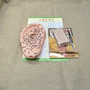 19cm Ear Multi-Acupoint Acupuncture Clear Reflexology Zone Model Acupoint Pressing Engraving Wangbuliuxing Seed Press Bean Patch
