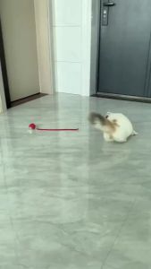 Automatic Rolling Ball Electric Teaser Toy Smart Cat Mainan Bola Elektrik Kucing 电动玩具