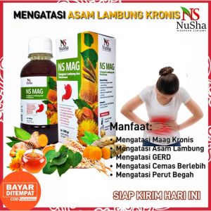 Madu NS MAG 280gr: Obat Herbal Asam Lambung
