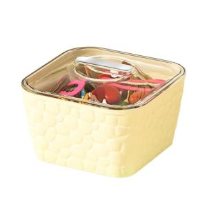 Storage Box Dustproof Case Room Storage Organizers Plastic Texture Present for Fashion Enthusiasts