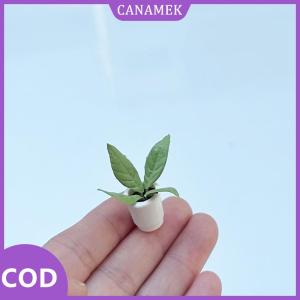 CANAMEK✨ 2 cái 1:12 Dollhouse đồ nội thất phụ kiện trang trí cảnh quan Mini cây hoa nhỏ chậu trang trí nội thất đất sét