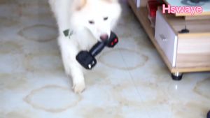 Dog Chew Toys for Aggressive ChewersFood Grade Non-Toxic DentalToyTough Durable Indestructible Dog Toys for Medium Large Dogs.Black.