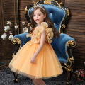 Girl's Lace Princess Dress Puffy Tutu Dresses Baby Kids Girl Birthday Gifts Children Party Formal Clothing Ball Gowns for 2-10 Years. 