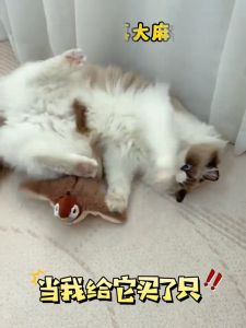 Interactive Chirping Bird Cat Toys with Flapping Wings No Flying Simulated Chirping Touch Activated