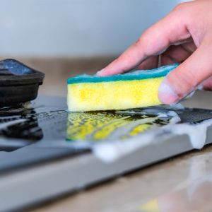 Goodluck Colorful Synthetic Sponge Scourer 1PC Regular Size