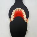 6Pcs Dental Photography Black Background Board Dental Photo Contrast Dental Fotografi Hitam. 