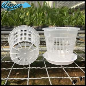 【dipao】 11 14cm Mesh Pot Root Control Transparent Flowerpot For Orchid Flower Breathable Growth Container Garden Plastic Flower Pot