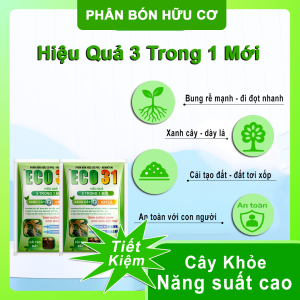Combo 2 Gói ECO31 1kg  – Bung Rễ Mạnh Đi Đọt Nhanh Xanh Cây Dày Lá – Gói 1kg