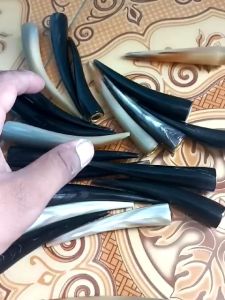 Once pipa cangklong tanduk kerbau super