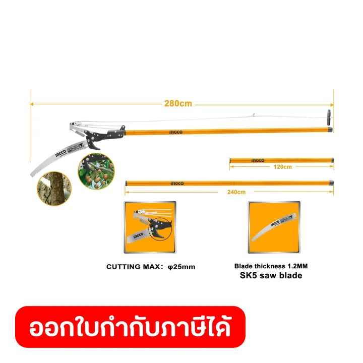 6 อันดับ กรรไกรกระตุกกิ่งไม้ ยี่ห้อไหนดี? ตัดแต่งสวนสวยง่ายขึ้นในปี 2025