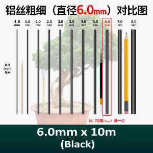 207. 3.5mm 6.0mm 10m Landscaping Bonsai Transplant Shaping Aluminum Wire DIY Bonsai Aluminum Wire Deep Black and T1028