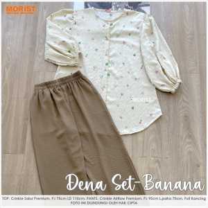 dena set ld 110 morist