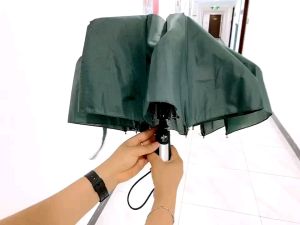 ô tự bung xuất nhật