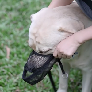 Adjustable Anti Barking Pet Dog Muzzle for Small Large Dogs Muzzle Stop Biting Barking Mouth Cover with Traction Rope