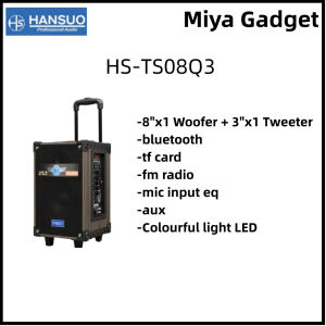 16000W HANSUO HS-TS08Q3 8"WOOFER SUPER BASS PORTABLE WIRELESS BLUETOOTH SPEAKER RECHARGERABLE