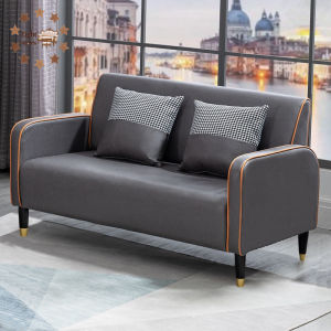 Nordic Technology Fabric Sofa Small Family Living Room Clothing Store Simple Double Three Seat Sofa Simple Online