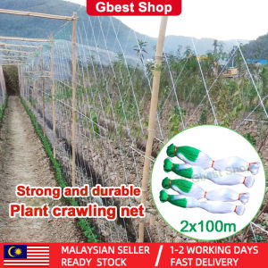Gbest plant net trellis for climbing plants planting tool mesh netting flower crawling support gardening accessories agriculture tools garden tools nylon net for vegetable melon cucumber fruit vine ivy orchid