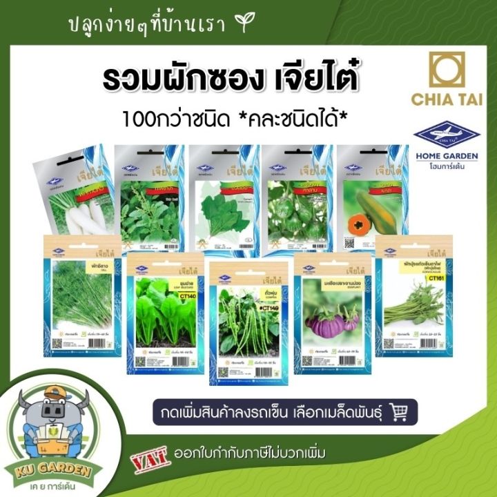 CHIATAI เมล็ดผักรวม 100 กว่าชนิด เลือกคละได้