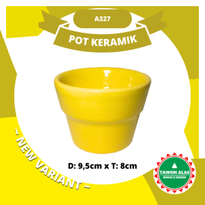 Pot Keramik Mini Bonsai Kaktus Sukulen