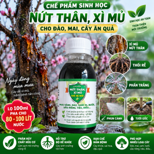 Chế Phẩm Sinh Học Xì Mủ Nứt Thân Cây Mai Đào Sầu Riêng – Phun Cành Tưới Gốc