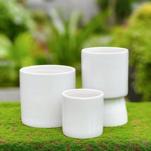 Chậu Trồng Cây Cảnh Gốm Sứ Hình Trụ Cao Để Bàn Thiết Kế Đơn Giản Phù Hợp Trang Trí Mọi Không Gian