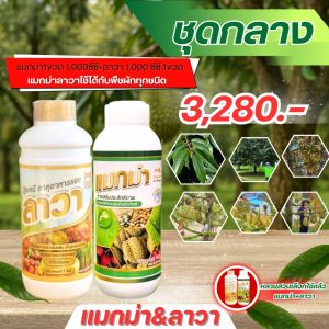 แมกม่าลาวา แมกม่า1ลิตร ลาวา1 ลิตร แมกม่าสารเสริม ช่วยสารช่วยยึดเกาะจับใบ ได้นาน ลดการสูญเสียยา ต้านเพลี้ยลดการหลุดร่วง ปุ๋ยน้ำลาวา ลาวาปุ๋ยทางใบ ธาตุอาหารรอง เร่งฟื้นฟูต้น เพิ่มปริมาณผลผลิตบำรุงราก ใช้ได้กับพืชทุกชนิด