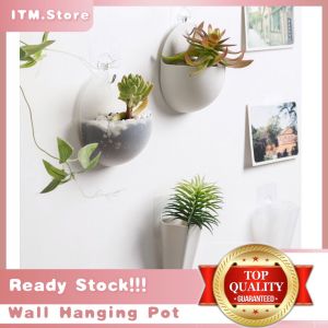 "Modern Wall Hanging Pot Decoration - Indoor/Outdoor - Easy to Install - Transparent/White - PP Material - 7cm/12cm - Ready Stock"