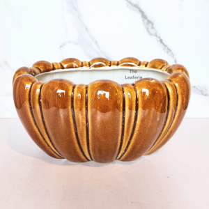The Leaferie Dorsey shallow plant pots (2 designs) Ceramic flowerpot flowerpots flower pot planter planters