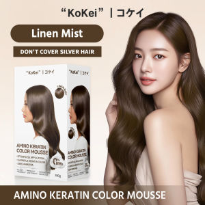 KoKei Premium Bubble Hair Color Permanent Non-irritating Herbal Hair Dye Keratin Repair Amino Acids Pink Red Brown Blue Black Ash Orange Brown Purple Violet