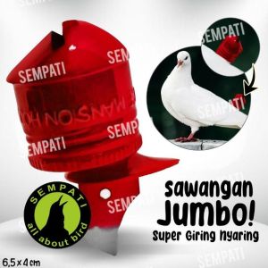 SEMPATI Sawangan Jumbo Mansion Sawangan Merpati Hatong Hotang Pluit Peluit Sempritan Latih Burung Merpati Balap Dara Pos Bunyi Nyaring SMNSN