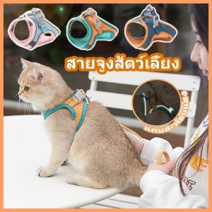 BHQ PET COD สายจูงเลี้ยง ใหม่ สีของมือ สกัด สายจูงหมา ปลอกคอแมว สำหรับผู้ชาย ผู้ชายชาย