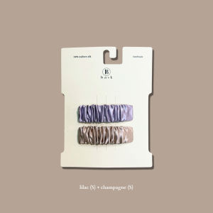 BASK - [NEW] Silk Hair Pins Bundle Set