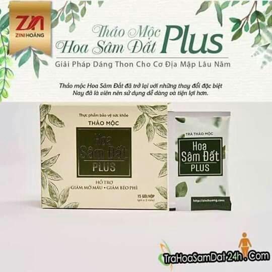 Trà giảm cân Hoa Sâm Đất Plus (cơ địa khó giảm)