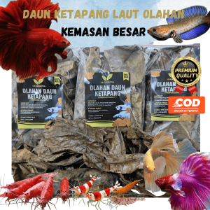 DAUN KETAPANG OLAHAN FERMENTASI KEMASAN BESAR PREMIUM UNTUK IKAN CUPANG CHANA DLL