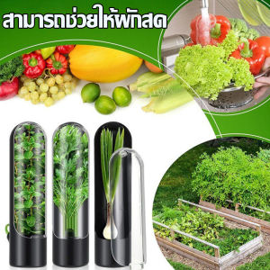 【SunnySpace】กล่องถนอมผัก ทรงกระบอก ประหยัดพื้นที่ ช่วยถนอมให้ผักสดนานกว่าเดิม ไม่ทำให้ผักช้ำ