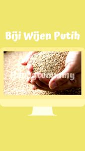 Biji Wijen Putih 50gr MURAH/White Sesame Seed KUALITAS PREMIUM HALAL