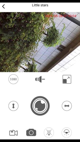 Buyer review video 6