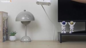 TESSAN Type C Power Strip with 4 Single Switches Tower Multiple Sockets with Surge Protection 2M 5M Extension Cable Plug Adapter