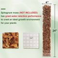 LZD 24 Inch Plant Plastic Moss Pole Plant Pile and Mud Moss Support Climbing Plant Pole Moss Pole. 