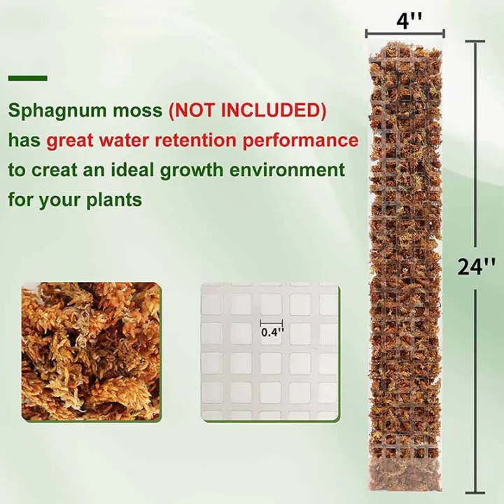 LZD%2024%20Inch%20Plant%20Plastic%20Moss%20Pole%20Plant%20Pile%20and%20Mud%20Moss%20Support%20Climbing%20Plant%20Pole%20Moss%20Pole%20-%20Image%205