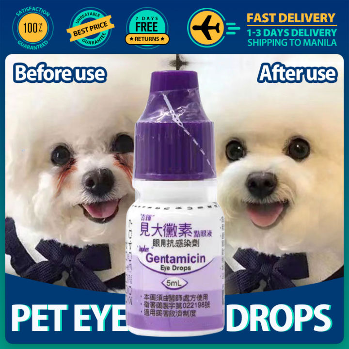 Carnosine eye drops for dogs best sale