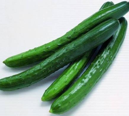 H%E1%BA%A1t%20gi%E1%BB%91ng%20D%C6%AFA%20LEO%20NH%E1%BA%ACT%20%20(d%C6%B0a%20chu%E1%BB%99t%20nh%E1%BA%ADt)%20-%20Image%203