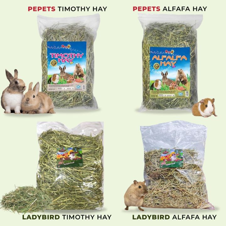 Premium Grade Alfafa Timothy Hay 500g/1kg for Rabbits, Guinea Pigs